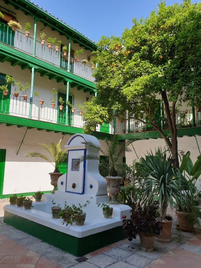Setas Apartamento Sevilha